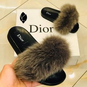 DIOR slides